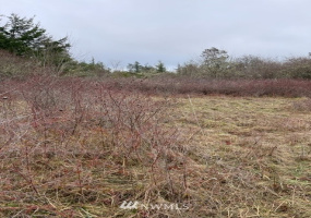 0 Katherine /30TH, Port Townsend, Washington 98368, ,Land,For Sale,Katherine /30TH,NWM1877501