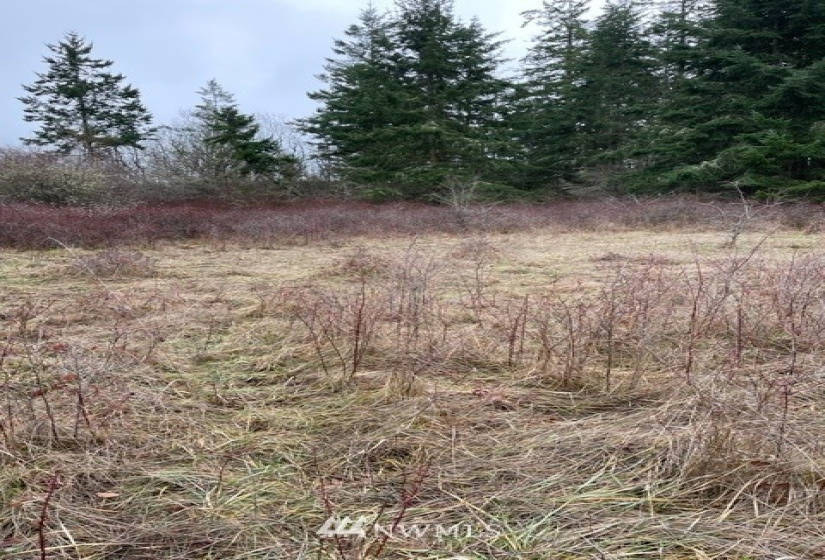 0 Katherine /30TH, Port Townsend, Washington 98368, ,Land,For Sale,Katherine /30TH,NWM1877501
