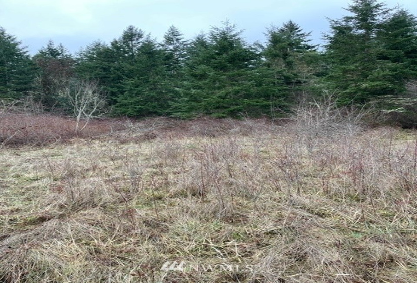 0 Katherine /30TH, Port Townsend, Washington 98368, ,Land,For Sale,Katherine /30TH,NWM1877501