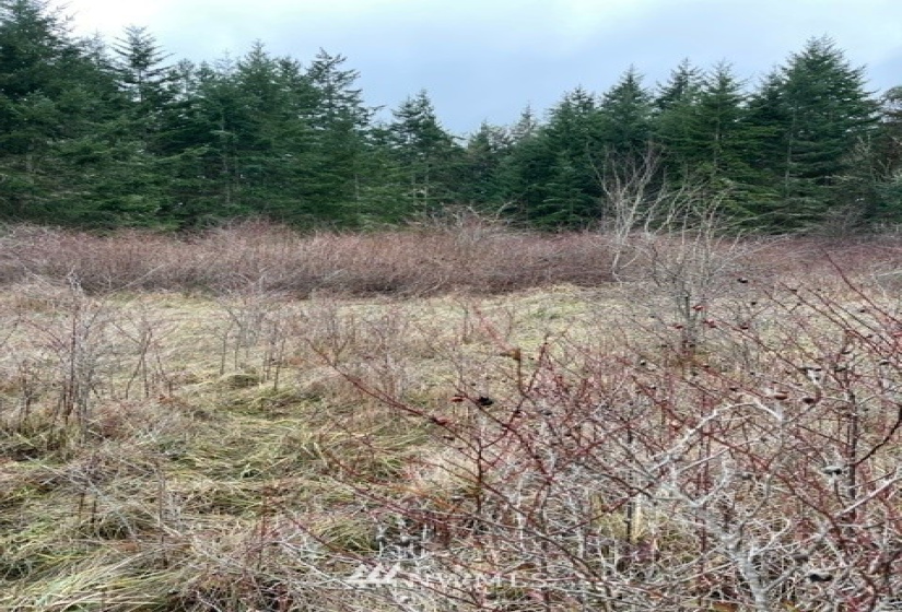 0 Katherine /30TH, Port Townsend, Washington 98368, ,Land,For Sale,Katherine /30TH,NWM1877501