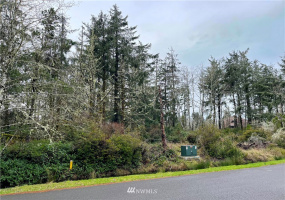 733 Wakina, Ocean Shores, Washington 98569, ,Land,For Sale,21,Wakina,NWM1879757