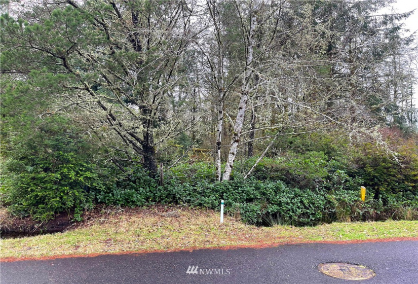 733 Wakina, Ocean Shores, Washington 98569, ,Land,For Sale,21,Wakina,NWM1879757