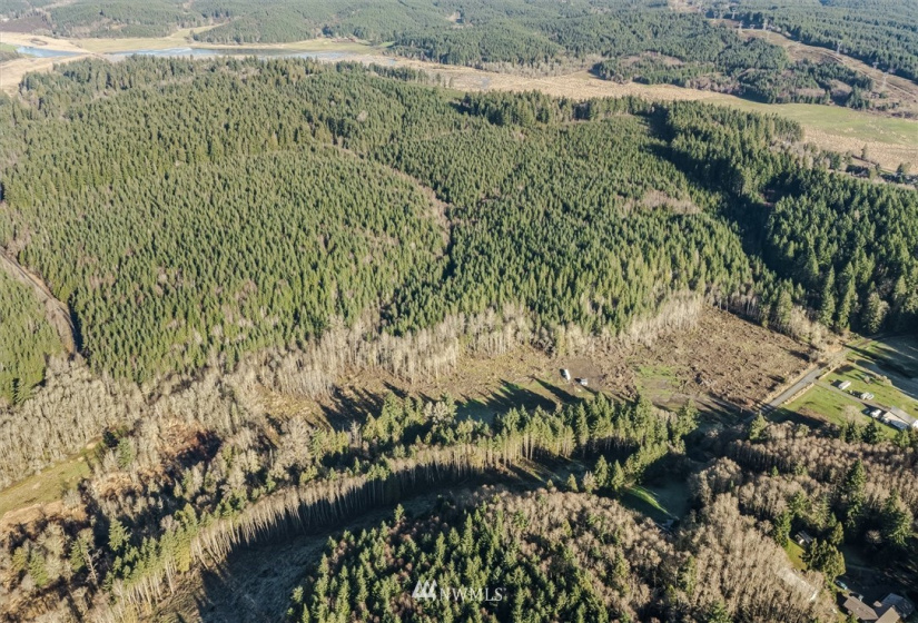 187 Ramsaur, Centralia, Washington 98531, ,Land,For Sale,Ramsaur,NWM1878184
