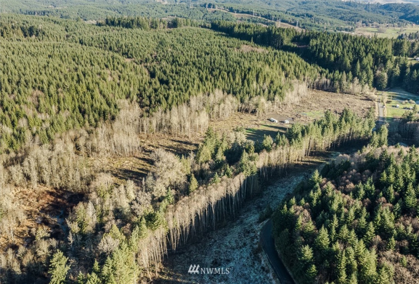 187 Ramsaur, Centralia, Washington 98531, ,Land,For Sale,Ramsaur,NWM1878184