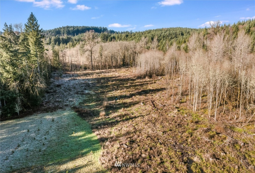 187 Ramsaur, Centralia, Washington 98531, ,Land,For Sale,Ramsaur,NWM1878184