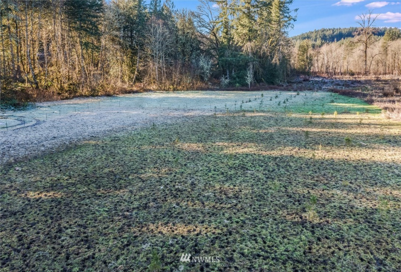 187 Ramsaur, Centralia, Washington 98531, ,Land,For Sale,Ramsaur,NWM1878184