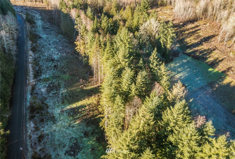 187 Ramsaur, Centralia, Washington 98531, ,Land,For Sale,Ramsaur,NWM1878184