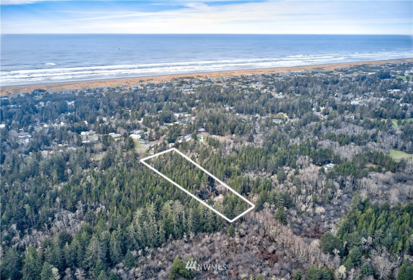 1820 301st, Ocean Park, Washington 98640, ,Land,For Sale,301st,NWM1879870