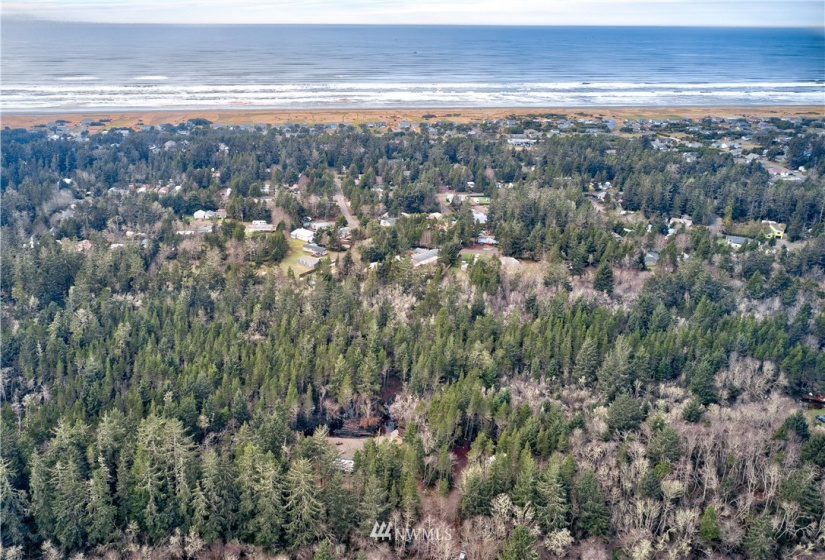 1820 301st, Ocean Park, Washington 98640, ,Land,For Sale,301st,NWM1879870