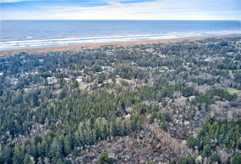 1820 301st, Ocean Park, Washington 98640, ,Land,For Sale,301st,NWM1879870