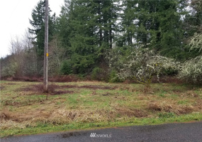 20205 Whitefish, Tenino, Washington 98589, ,Land,For Sale,Whitefish,NWM1879655