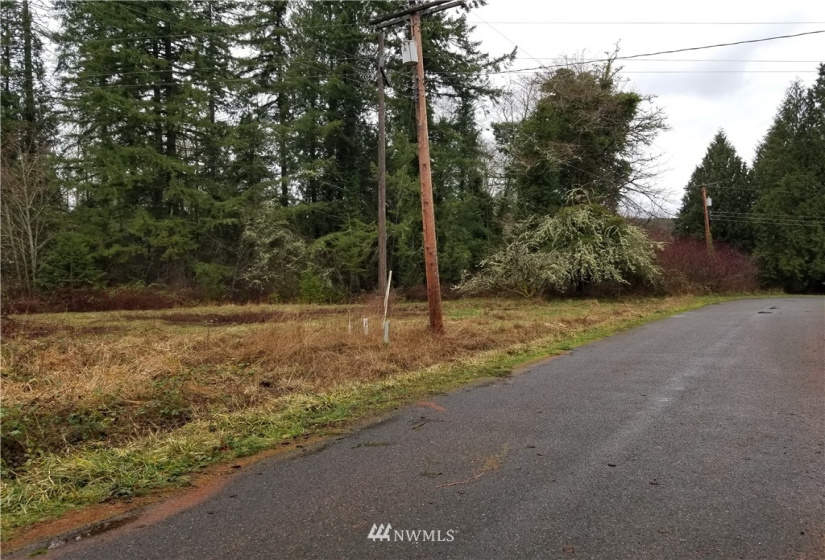 20205 Whitefish, Tenino, Washington 98589, ,Land,For Sale,Whitefish,NWM1879655
