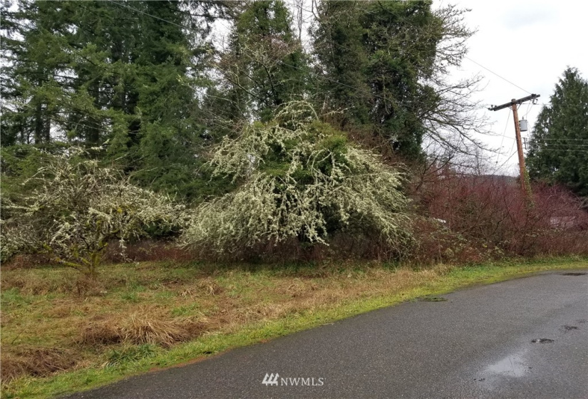 20205 Whitefish, Tenino, Washington 98589, ,Land,For Sale,Whitefish,NWM1879655