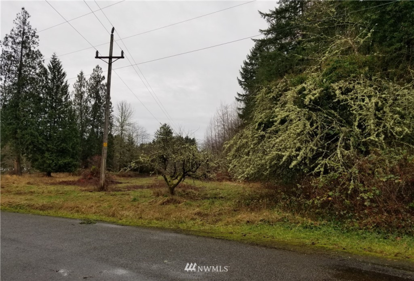 20205 Whitefish, Tenino, Washington 98589, ,Land,For Sale,Whitefish,NWM1879655
