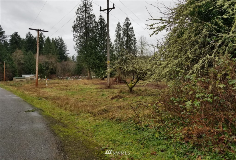 20205 Whitefish, Tenino, Washington 98589, ,Land,For Sale,Whitefish,NWM1879655