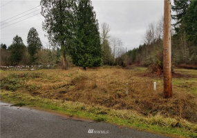 20217 Whitefish, Tenino, Washington 98589, ,Land,For Sale,Whitefish,NWM1879657