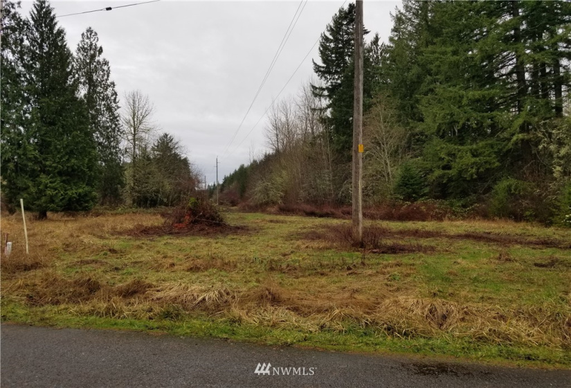 20217 Whitefish, Tenino, Washington 98589, ,Land,For Sale,Whitefish,NWM1879657