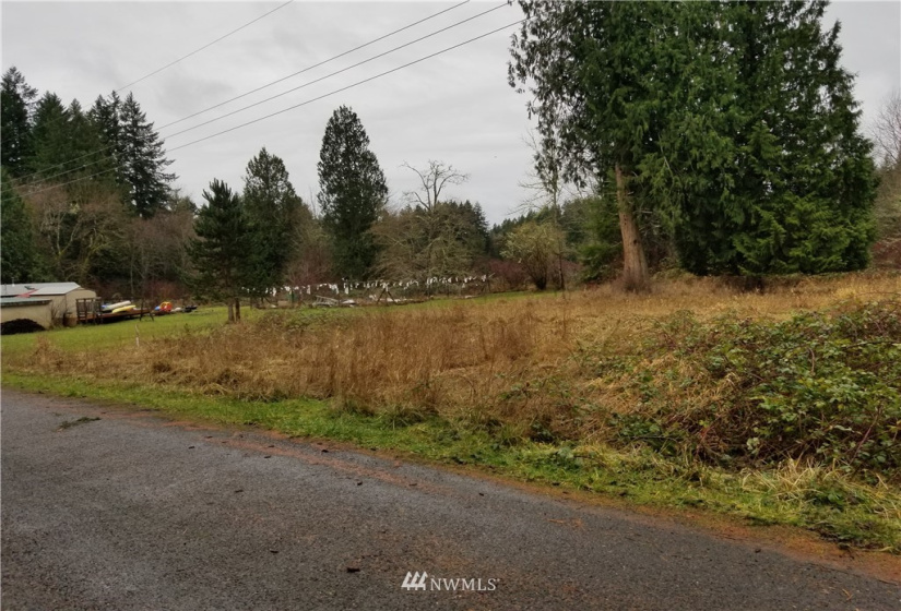 20217 Whitefish, Tenino, Washington 98589, ,Land,For Sale,Whitefish,NWM1879657