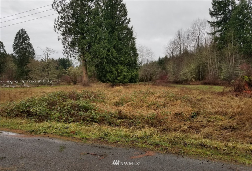 20217 Whitefish, Tenino, Washington 98589, ,Land,For Sale,Whitefish,NWM1879657