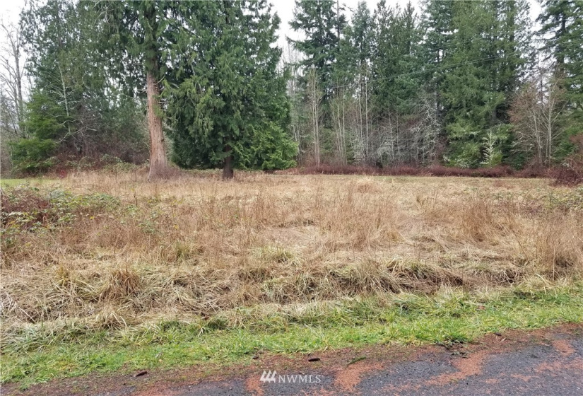 20217 Whitefish, Tenino, Washington 98589, ,Land,For Sale,Whitefish,NWM1879657