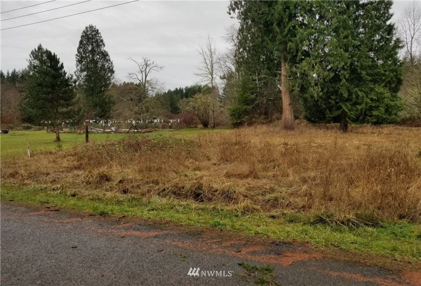 20217 Whitefish, Tenino, Washington 98589, ,Land,For Sale,Whitefish,NWM1879657