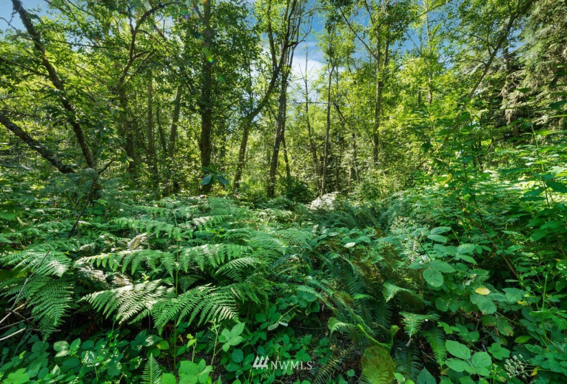 0 XXX 200th, Stanwood, Washington 98292, ,Land,For Sale,BLA# 202012110197,200th,NWM1879710