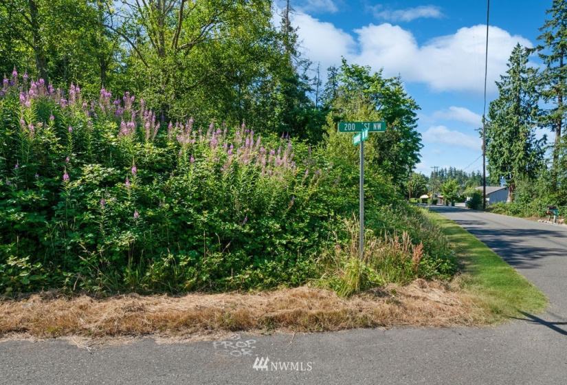 0 XXX 200th, Stanwood, Washington 98292, ,Land,For Sale,BLA# 202012110197,200th,NWM1879710