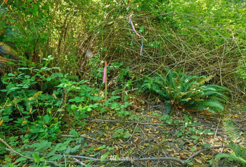0 XXX 200th, Stanwood, Washington 98292, ,Land,For Sale,BLA# 202012110197,200th,NWM1879710