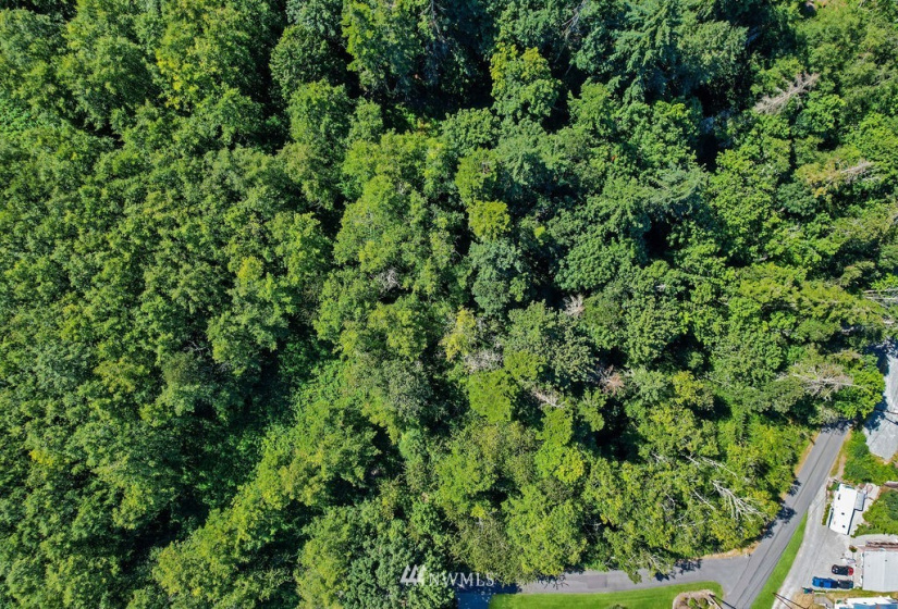 0 XXX 200th, Stanwood, Washington 98292, ,Land,For Sale,BLA# 202012110197,200th,NWM1879710