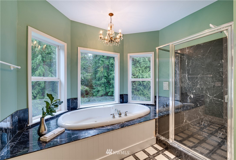 4801 Woodside, Anacortes, Washington 98221, 4 Bedrooms Bedrooms, ,2 BathroomsBathrooms,Residential,For Sale,Woodside,NWM1879421