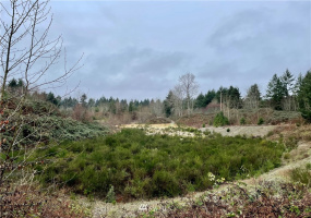 9520 Steilacoom, Olympia, Washington 98513, ,Land,For Sale,Steilacoom,NWM1878235