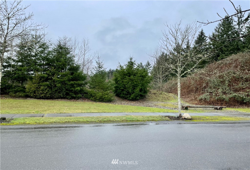 9520 Steilacoom, Olympia, Washington 98513, ,Land,For Sale,Steilacoom,NWM1878235