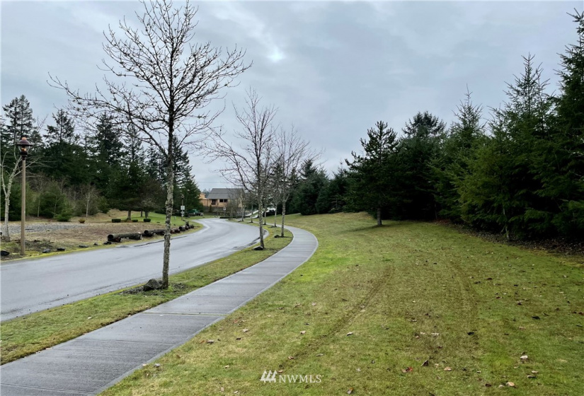 9520 Steilacoom, Olympia, Washington 98513, ,Land,For Sale,Steilacoom,NWM1878235