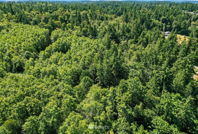 0 xxx Soundview, Stanwood, Washington 98292, ,Land,For Sale,BLA# 202012110197,Soundview,NWM1879714