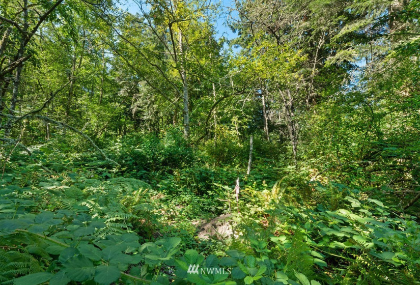 0 xxx Soundview, Stanwood, Washington 98292, ,Land,For Sale,BLA# 202012110197,Soundview,NWM1879714