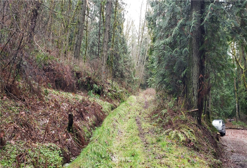 18803 109th, Issaquah, Washington 98027, ,Land,For Sale,109th,NWM1879614
