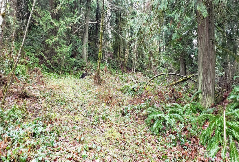 18803 109th, Issaquah, Washington 98027, ,Land,For Sale,109th,NWM1879614