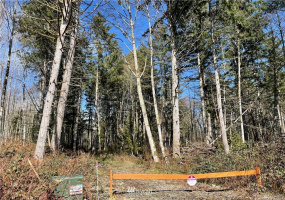13113 to 13115 115th, Gig Harbor, Washington 98329, ,Land,For Sale,to 13115 115th,NWM1879965