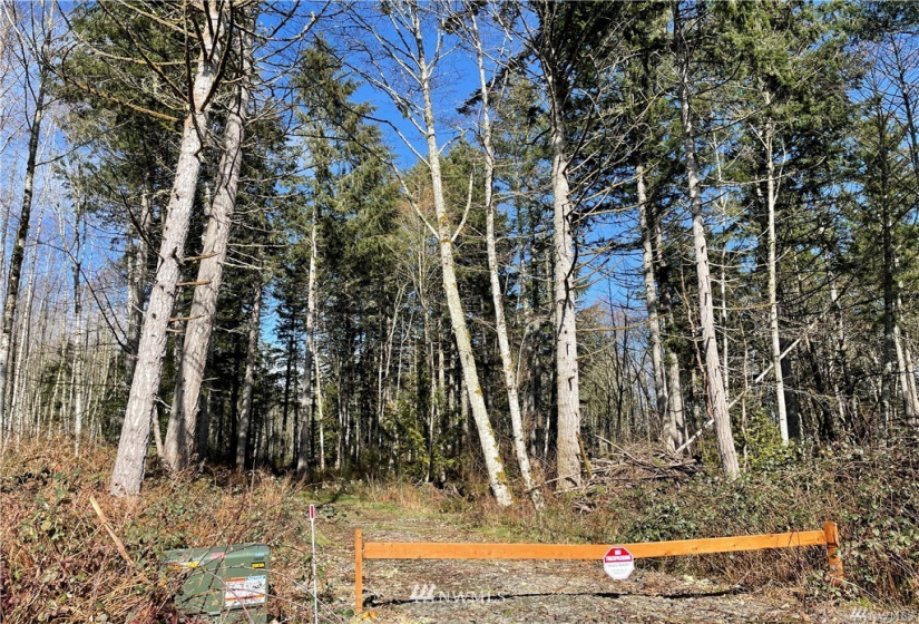 13113 to 13115 115th, Gig Harbor, Washington 98329, ,Land,For Sale,to 13115 115th,NWM1879965