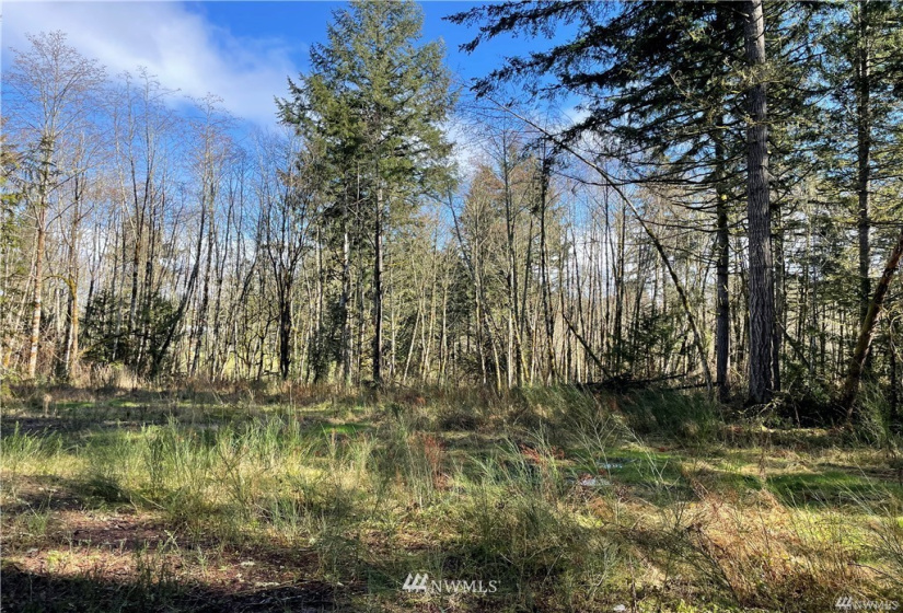 13113 to 13115 115th, Gig Harbor, Washington 98329, ,Land,For Sale,to 13115 115th,NWM1879965
