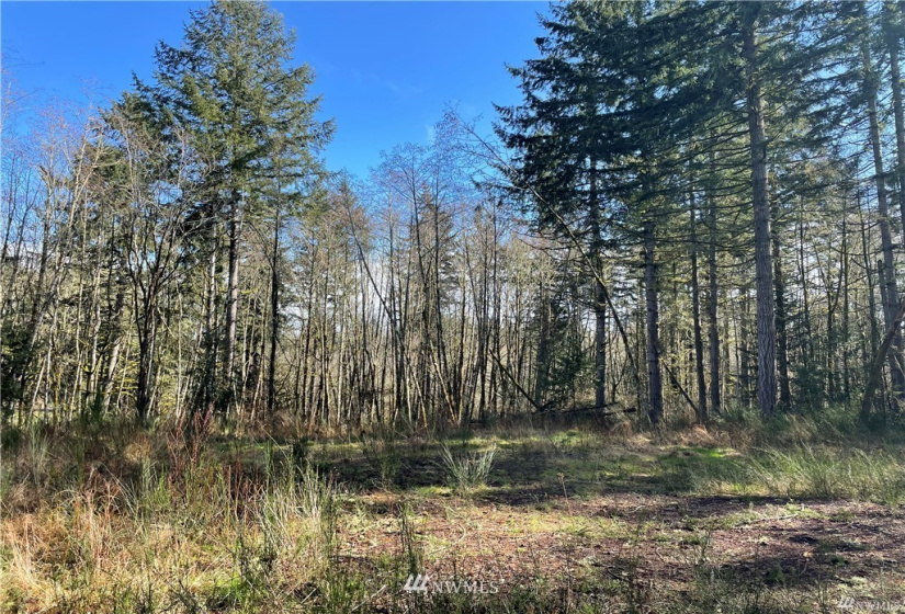 13113 to 13115 115th, Gig Harbor, Washington 98329, ,Land,For Sale,to 13115 115th,NWM1879965