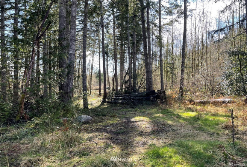 13113 to 13115 115th, Gig Harbor, Washington 98329, ,Land,For Sale,to 13115 115th,NWM1879965