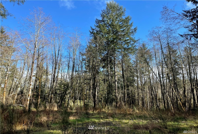 13113 to 13115 115th, Gig Harbor, Washington 98329, ,Land,For Sale,to 13115 115th,NWM1879965