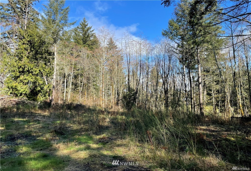 13113 to 13115 115th, Gig Harbor, Washington 98329, ,Land,For Sale,to 13115 115th,NWM1879965