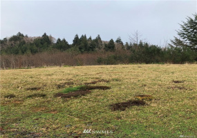 1900 Harborview, Aberdeen, Washington 98520, ,Land,For Sale,Aberdeen Highlands,Harborview,NWM1879978