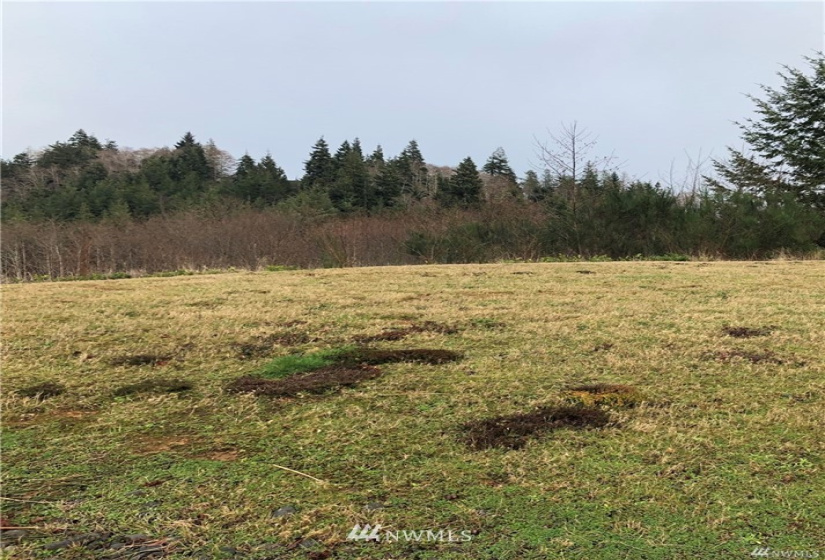 1900 Harborview, Aberdeen, Washington 98520, ,Land,For Sale,Aberdeen Highlands,Harborview,NWM1879978