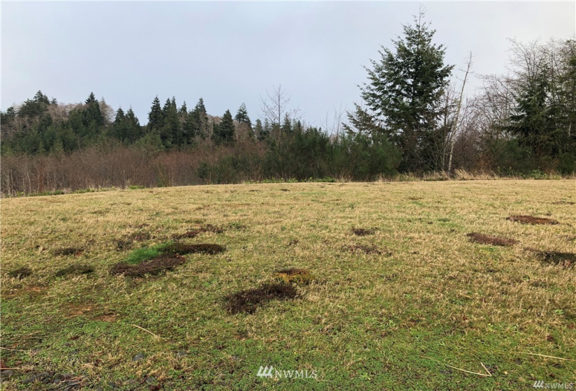1900 Harborview, Aberdeen, Washington 98520, ,Land,For Sale,Aberdeen Highlands,Harborview,NWM1879978