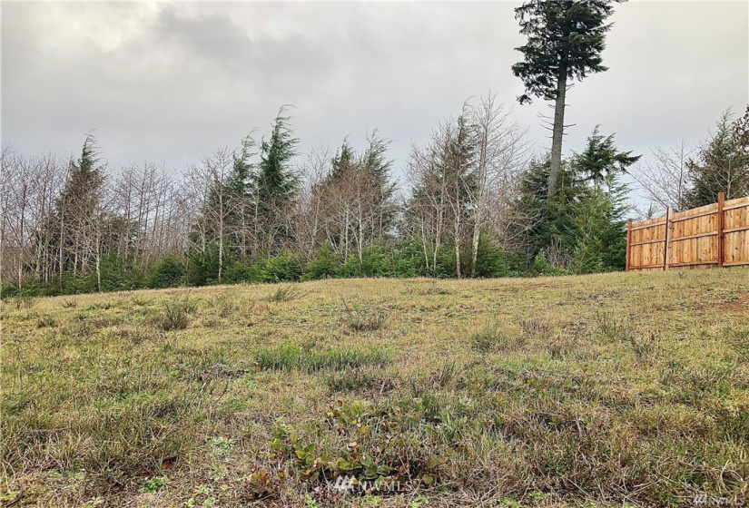 1143 Grays Pointe, Aberdeen, Washington 98520, ,Land,For Sale,Aberdeen Highlands,Grays Pointe,NWM1880027
