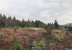 7 Weather Wax, Aberdeen, Washington 98520, ,Land,For Sale,Aberdeen Highlands,Weather Wax,NWM1880034