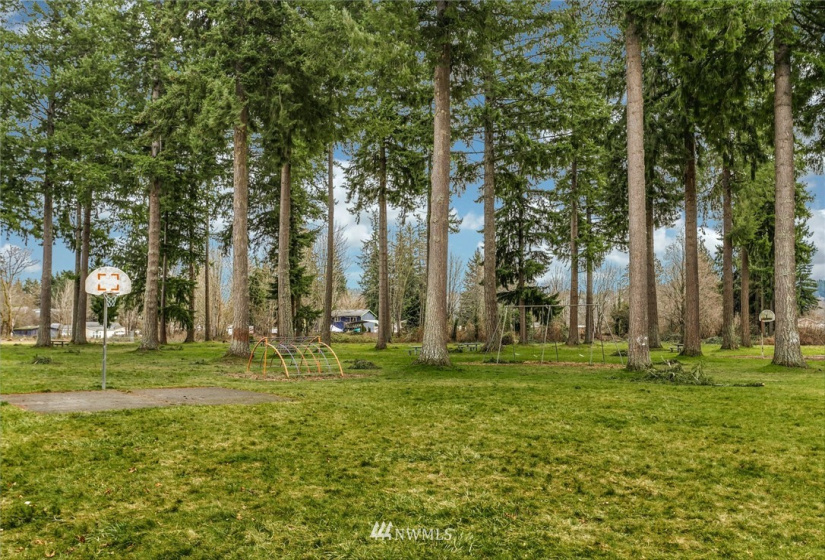 12906 226th, Bonney Lake, Washington 98391, 3 Bedrooms Bedrooms, ,1 BathroomBathrooms,Manufactured In Park,For Sale,226th,NWM1879904